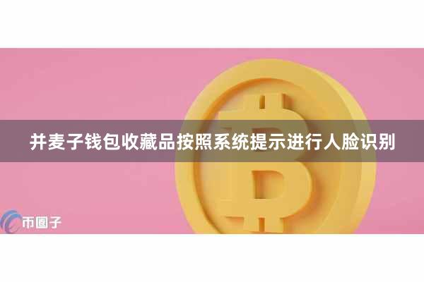 并麦子钱包收藏品按照系统提示进行人脸识别